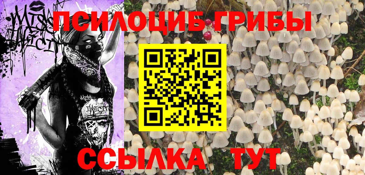 Галлюциногенные грибы прущие грибы  Вход с VPN  Шелехов 