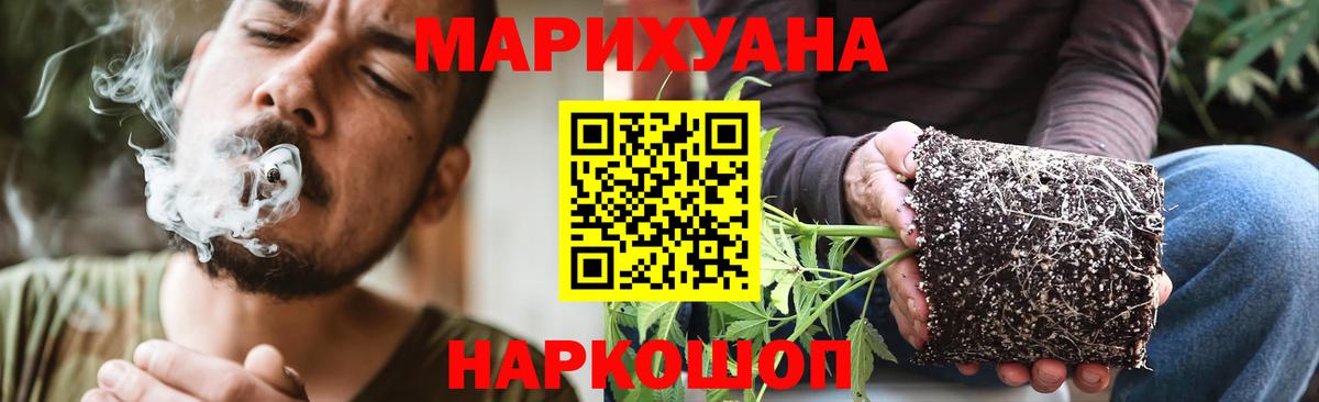 Шелехов  Бошки марихуана гибрид  Канабис конопля  Марихуана гибрид  Вход с VPN 